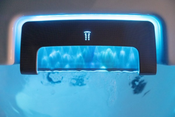 Bullfrog Spas A9L Whirlpool