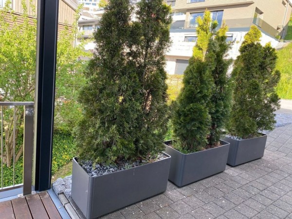 Eternit Delta 60 rechteckig