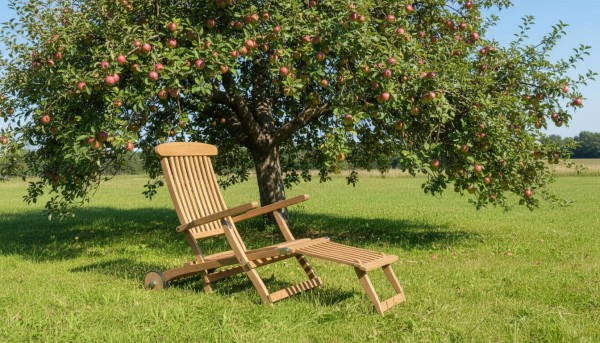Zebra Bueno Deckchair