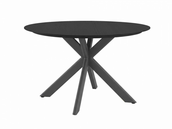 Zebra Mantis Gartentisch